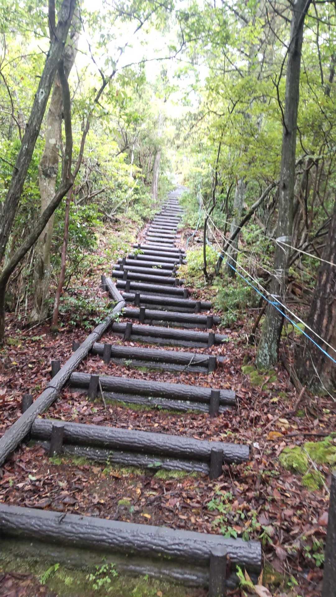 最後の登り💦