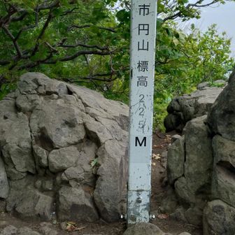 円山登頂。雨降ってきたので、即退散