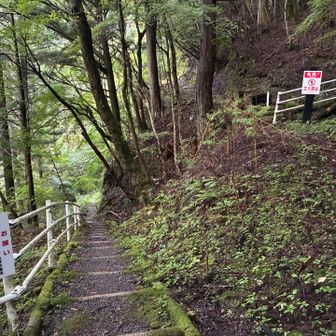 ここは分かりにくかったのですが、右の立入禁止が冠山直通の通行禁止ロード、左の下り階段は平家平に向かう正解ルートです。