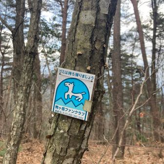 えぼしから少し歩くと、駒沢山の山頂に🛬します。
この辺りがピークかな。
山頂標識はなく、駒ヶ岳ファンクラブの看板が設置されてました。