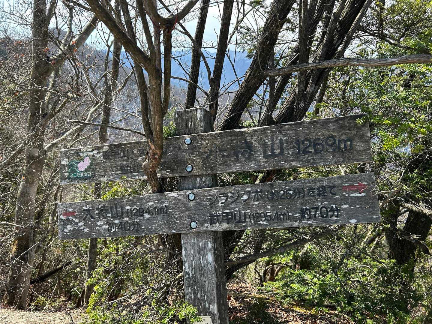 子持山に到着

子持でこれ？ってくらいキツかったんですけど🙄笑
山登るの久しぶり過ぎて筋肉痛です笑
