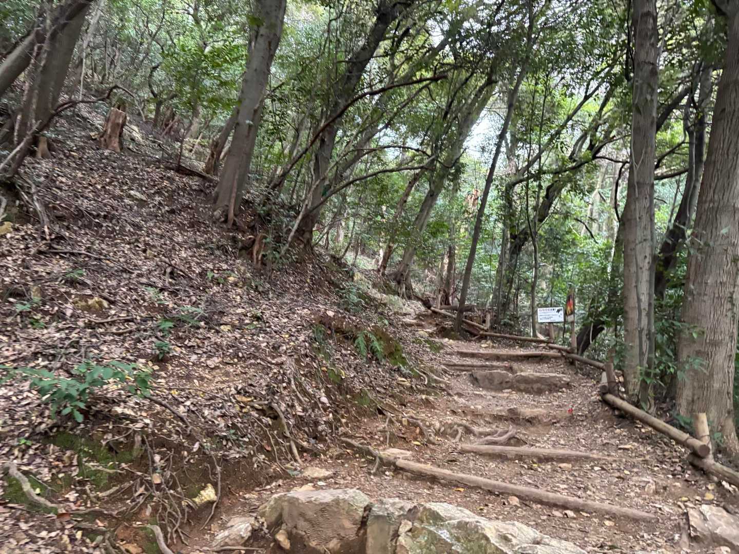 今日のルートは、めいそうの小径！たまには違うコースで