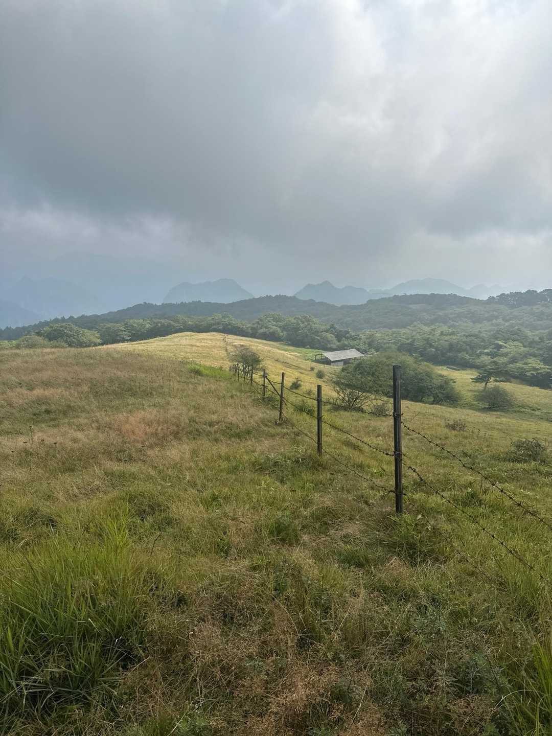 物見山-香坂峠-神津牧場 縦走コースの写真
