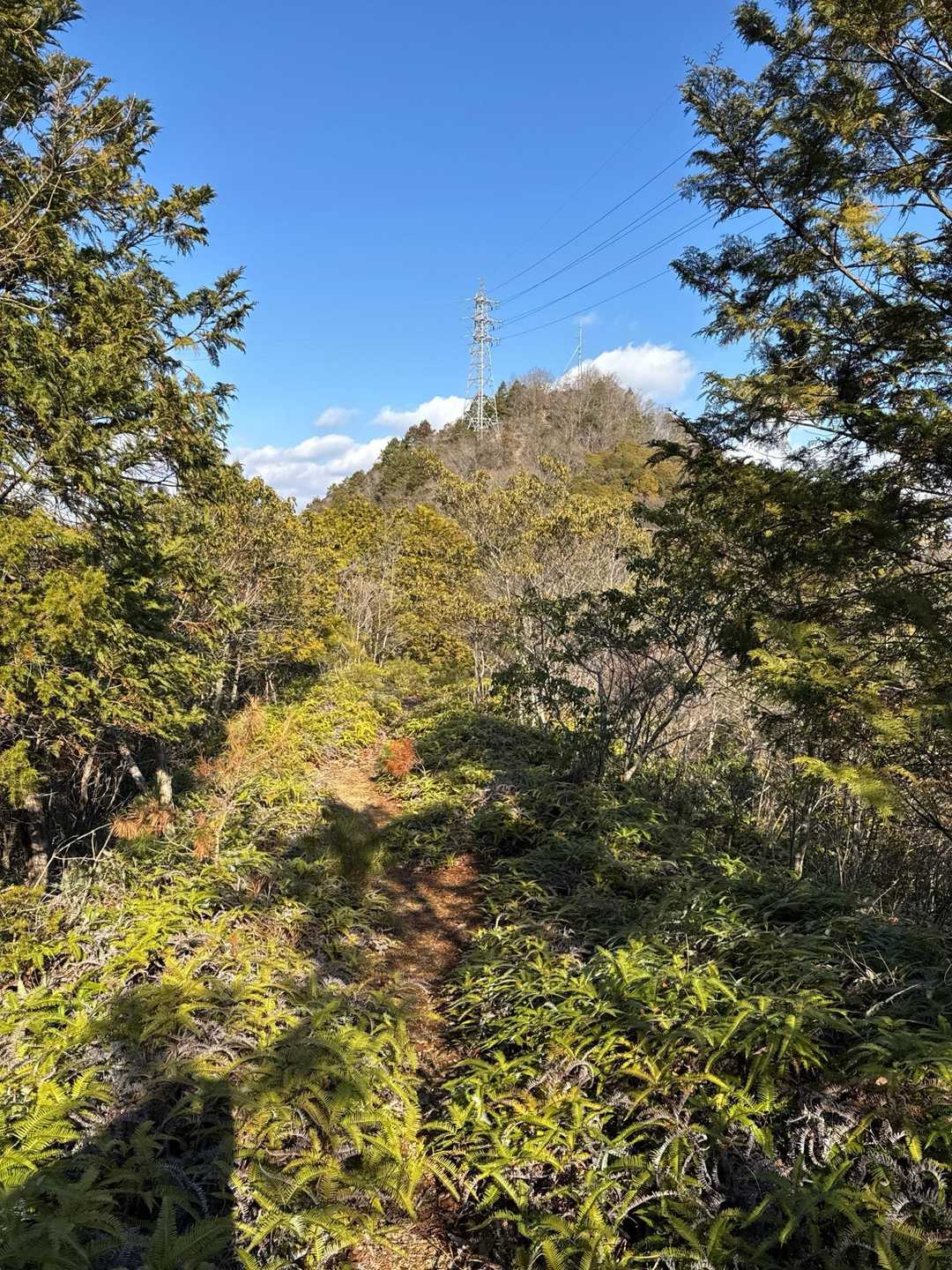 西林寺仁王門-西林寺山-西林寺山登山口 周回コースの写真