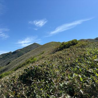 徐々に近づく万太郎。