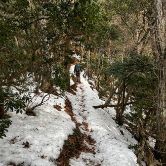 山の上は気温が低いままなのか山の斜面一面に雪
ノーマル登山靴で全然大丈夫🥾
