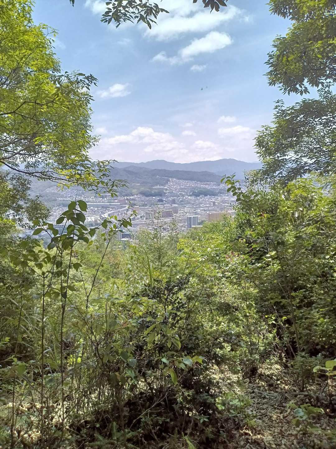 中山からの景色