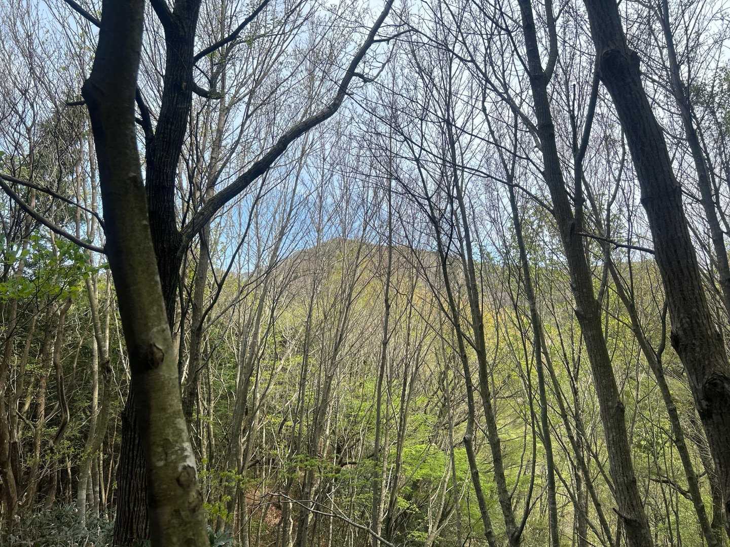 あれが弟見山。