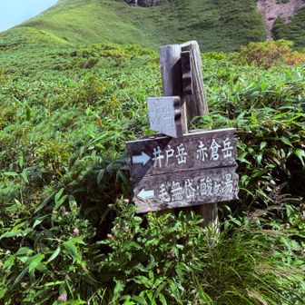 分岐看板。