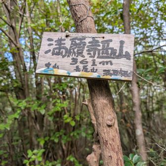 万願寺西山。