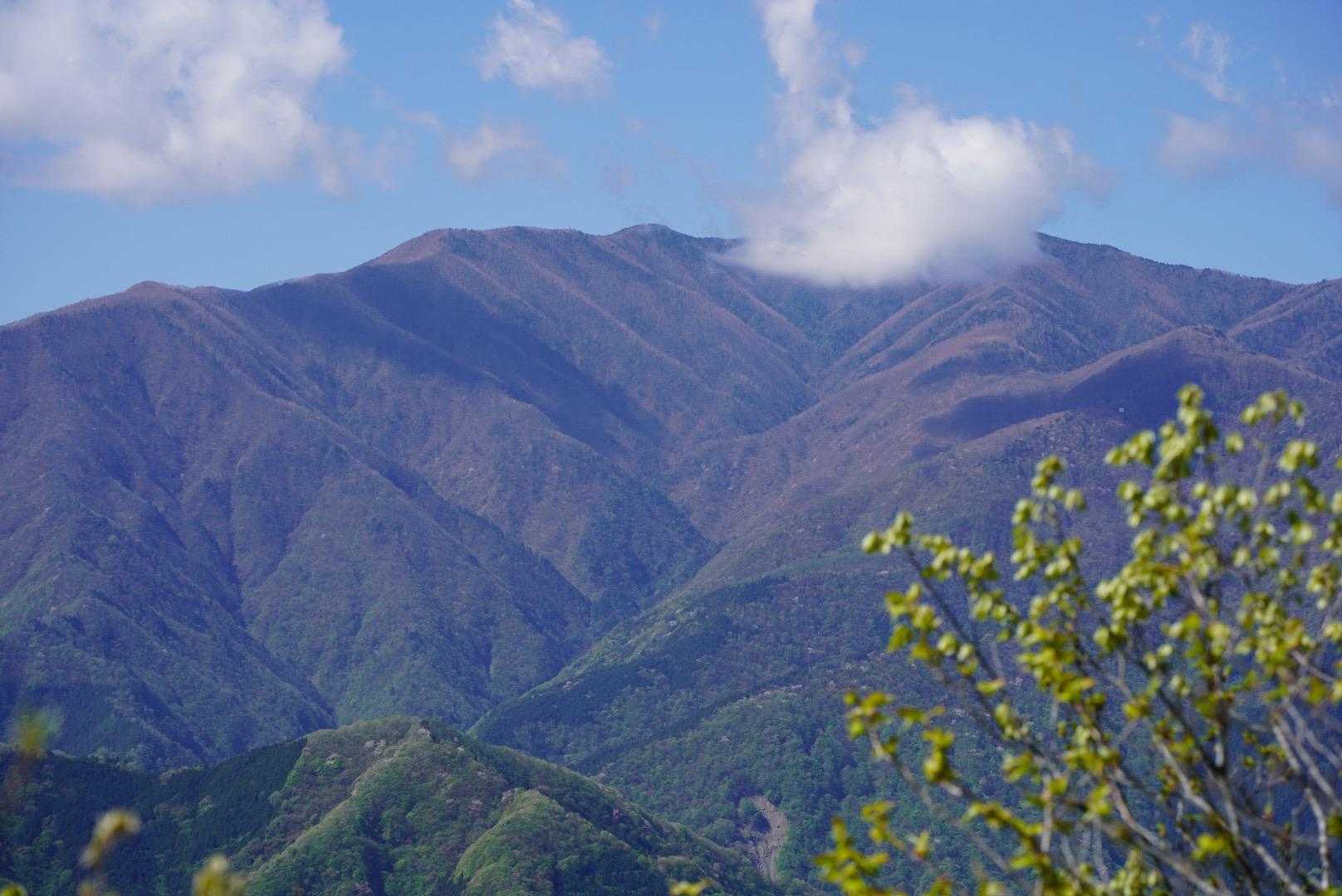 雲取山！