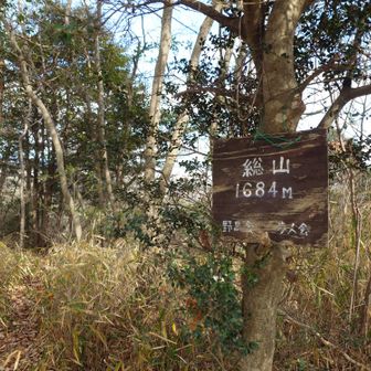 「総山」ピーク！
さっき居たのは「惣山」で
今は「総山」です。
両方「そうやま」ですかね？