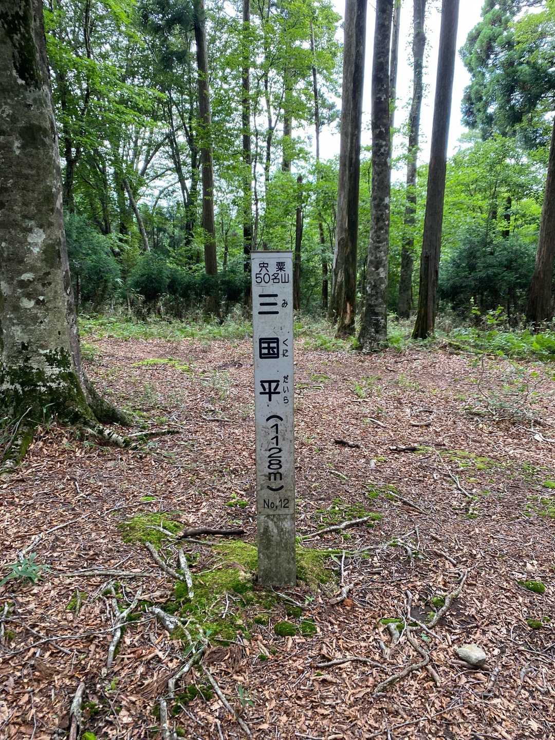 山頂⛰️