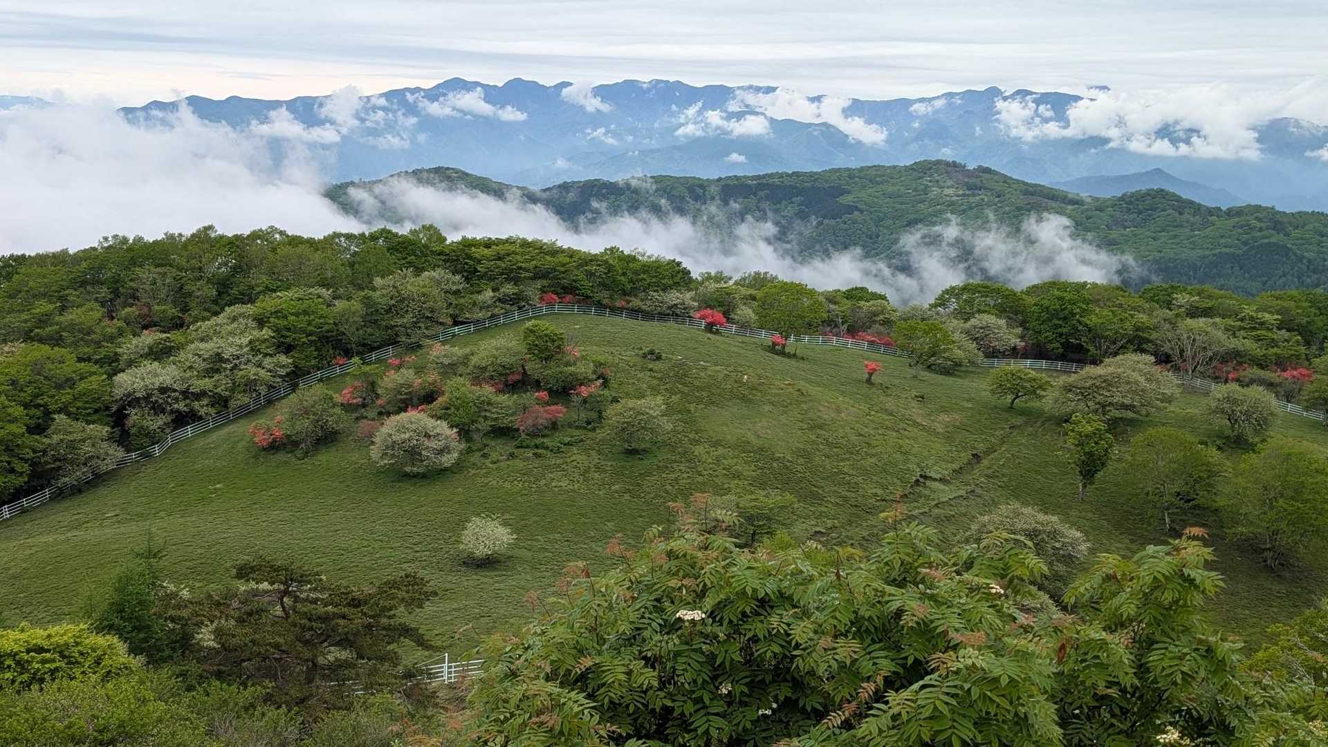 牧場