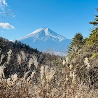 何回でも写真撮っちゃう。