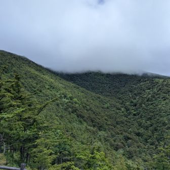 頂上は、雲がベッタリ張り付いていました。