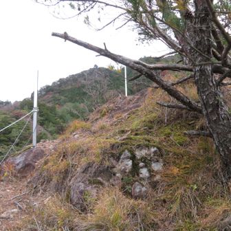 きいのこ山(602m)山頂　ここまでクサリ場が続きましたが、怖くて写真撮れませんでした😵‍💫