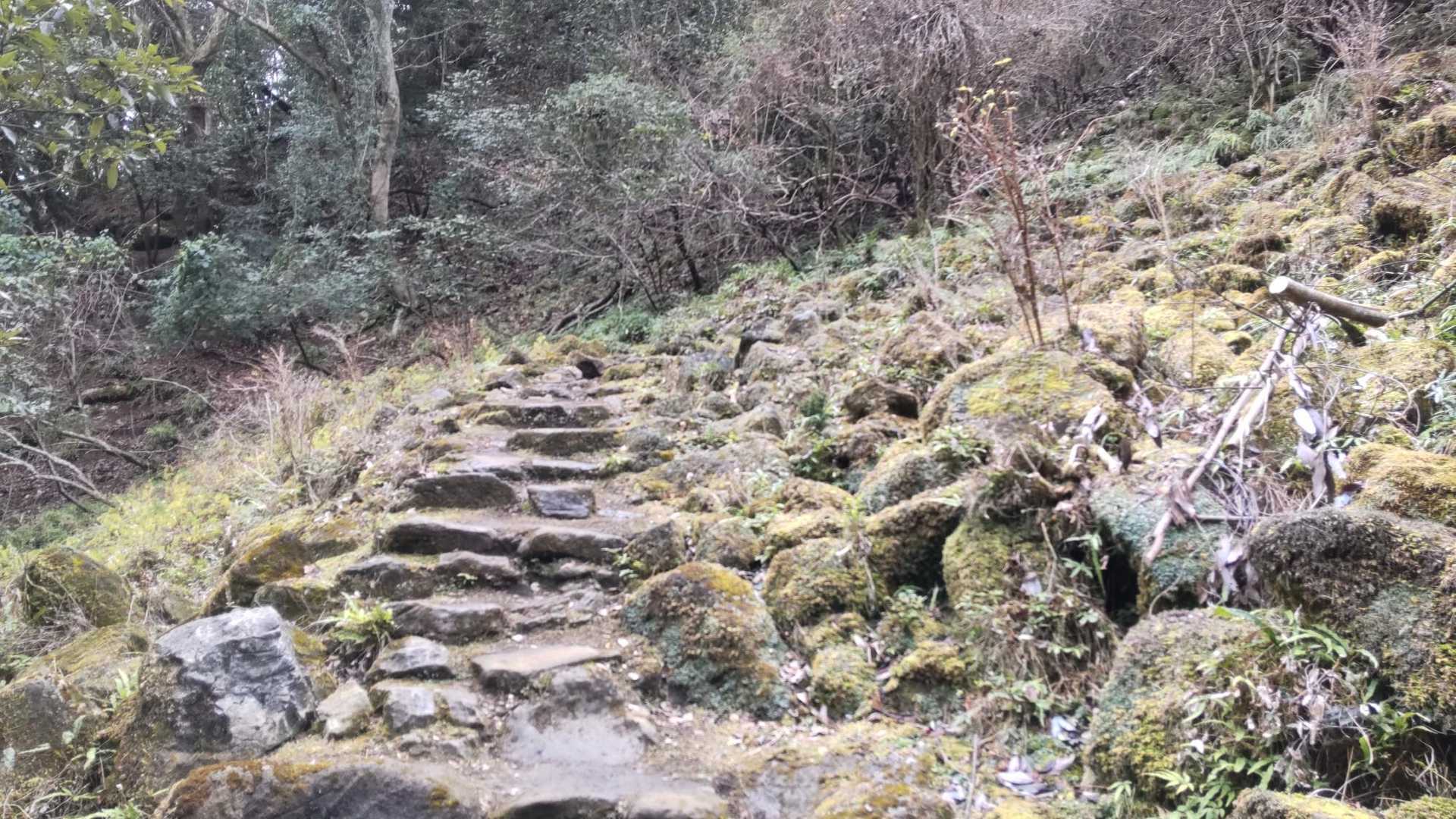 苔むした岩が転がる道