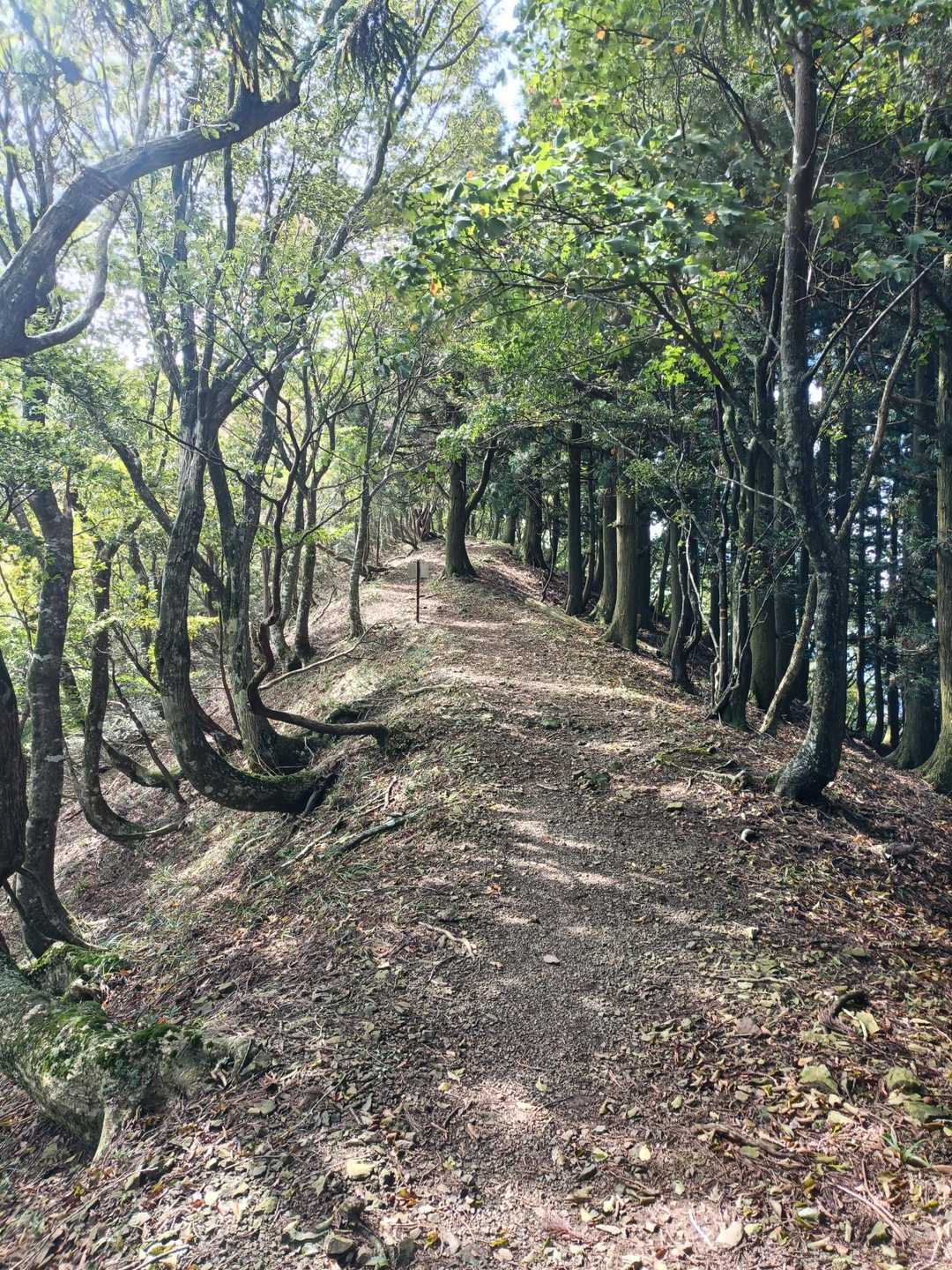 涼しい風が心地よい😃