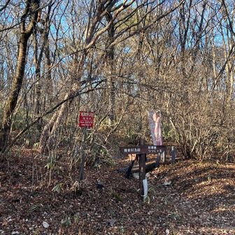 コチラにいくと雄岳、雌岳、相馬岳から榛名湖方面に縦走する事が出来ます
手前の伊香保森林公園にあるシダの池はオオルリやキビタキなどの夏鳥が見られる野鳥スポットでもあります