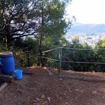 一の丘。
左の降り口から西側に降りる