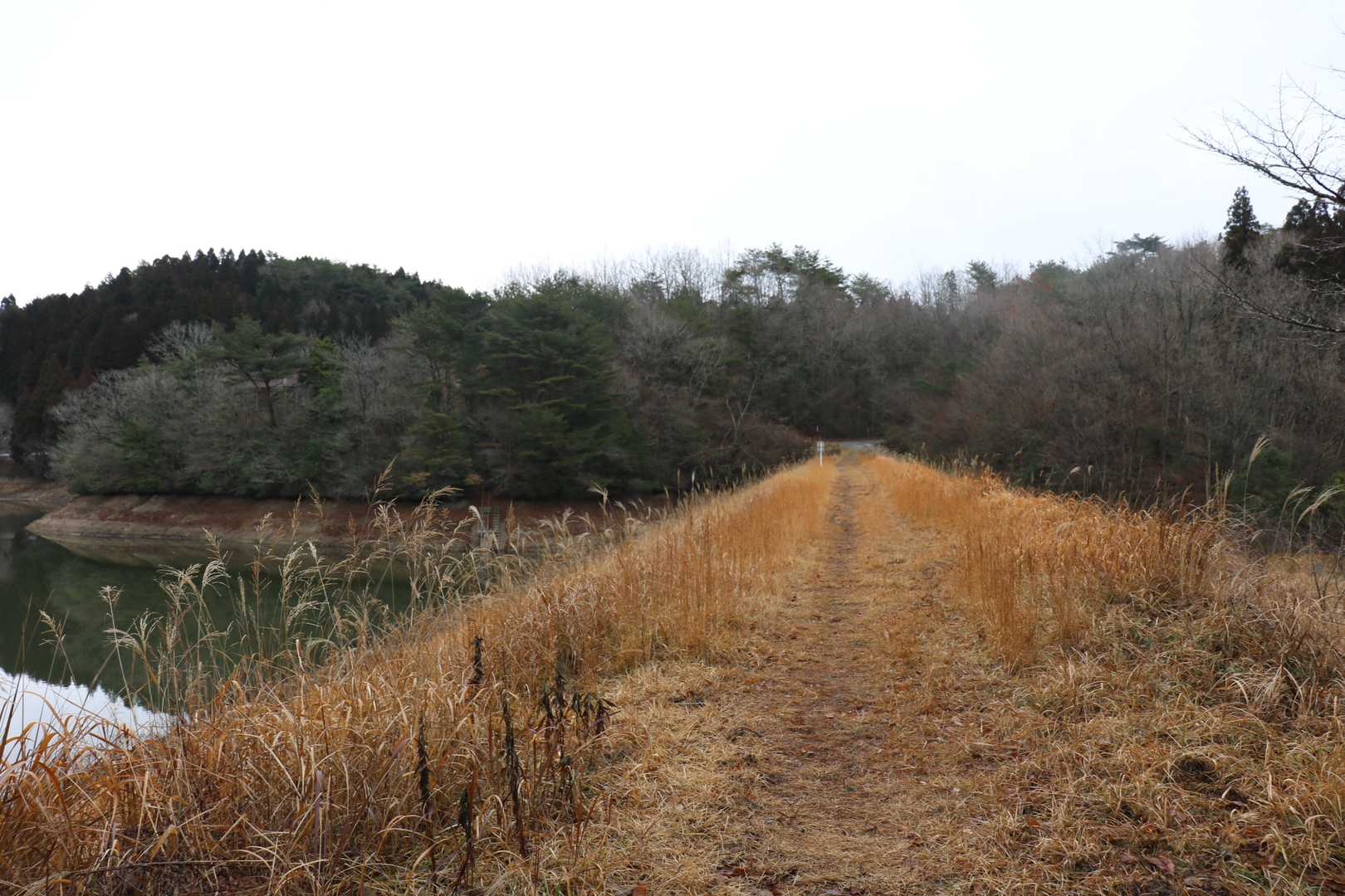 溜め池のそばの遊歩道