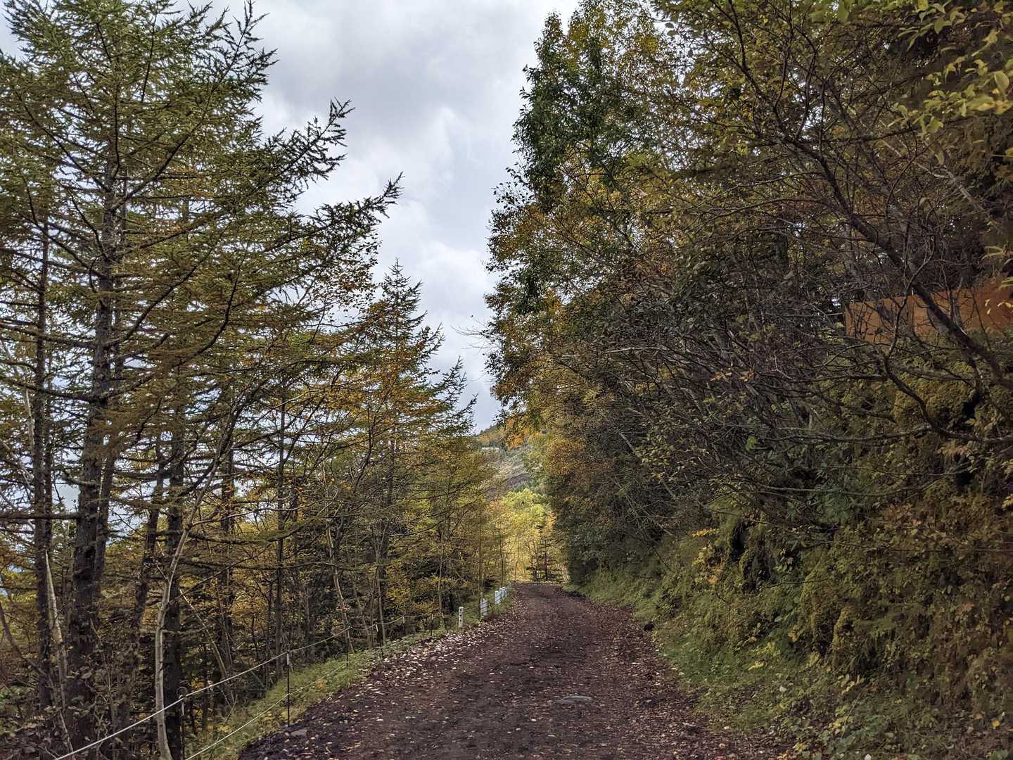 富士山🗻横移動も〜

(  ˊ꒳ˋ )ᐝ良き