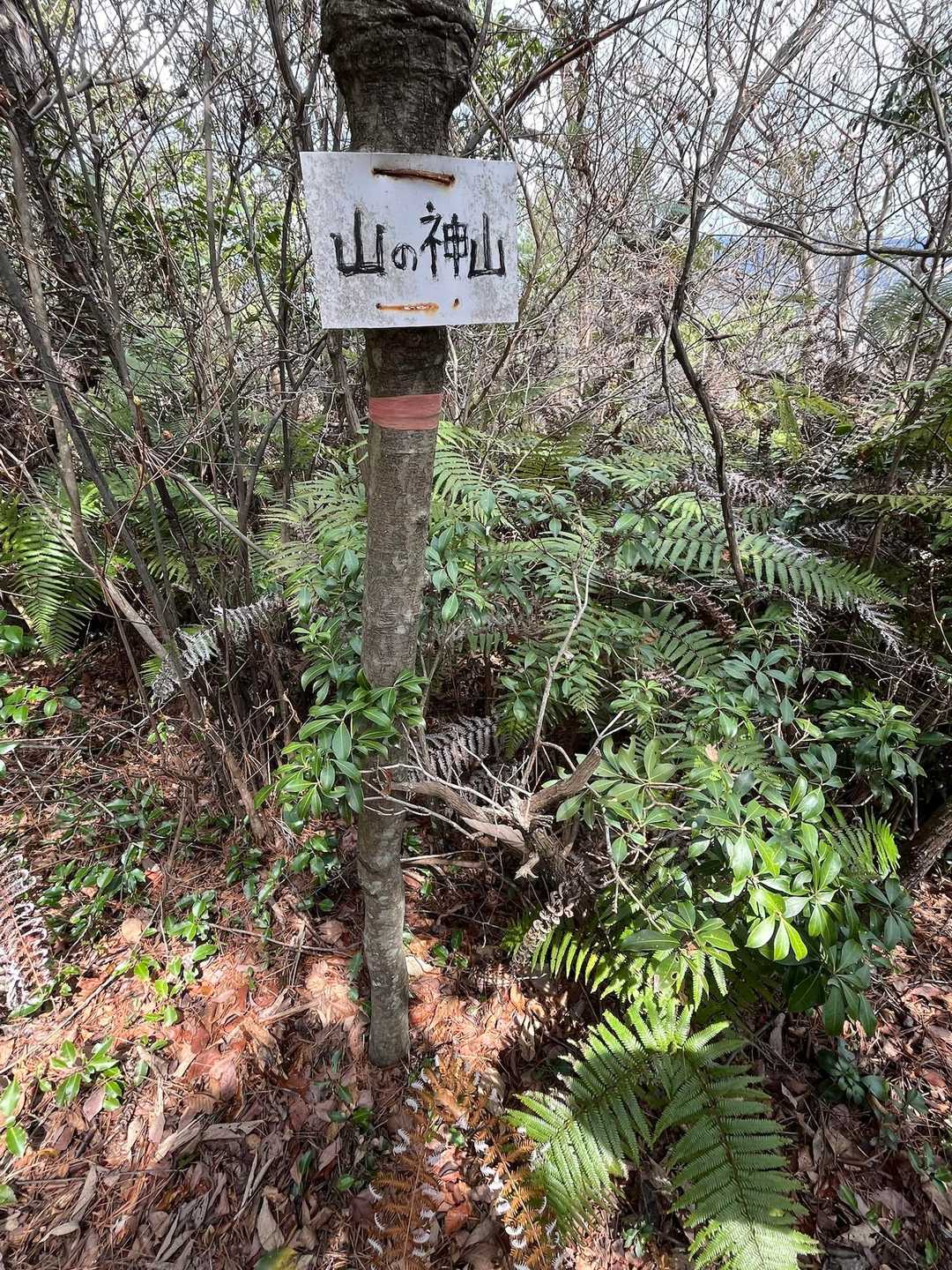 山の神山⛰️