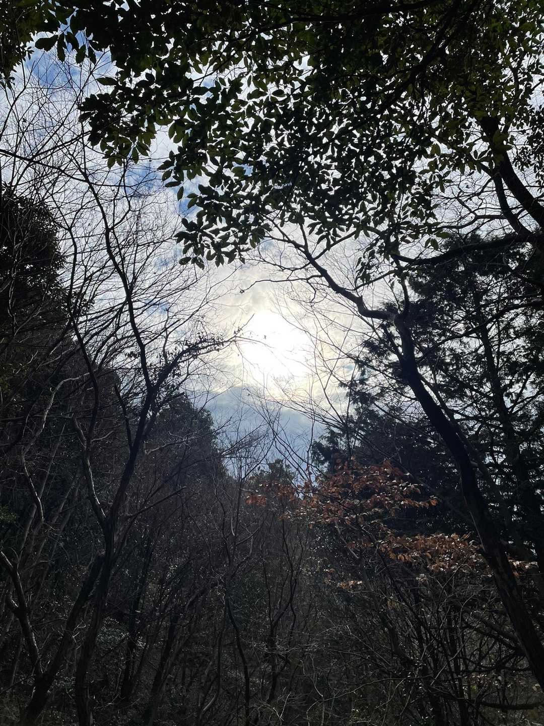 吉祥山 往復コースの写真
