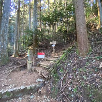 きゅうざかの道から