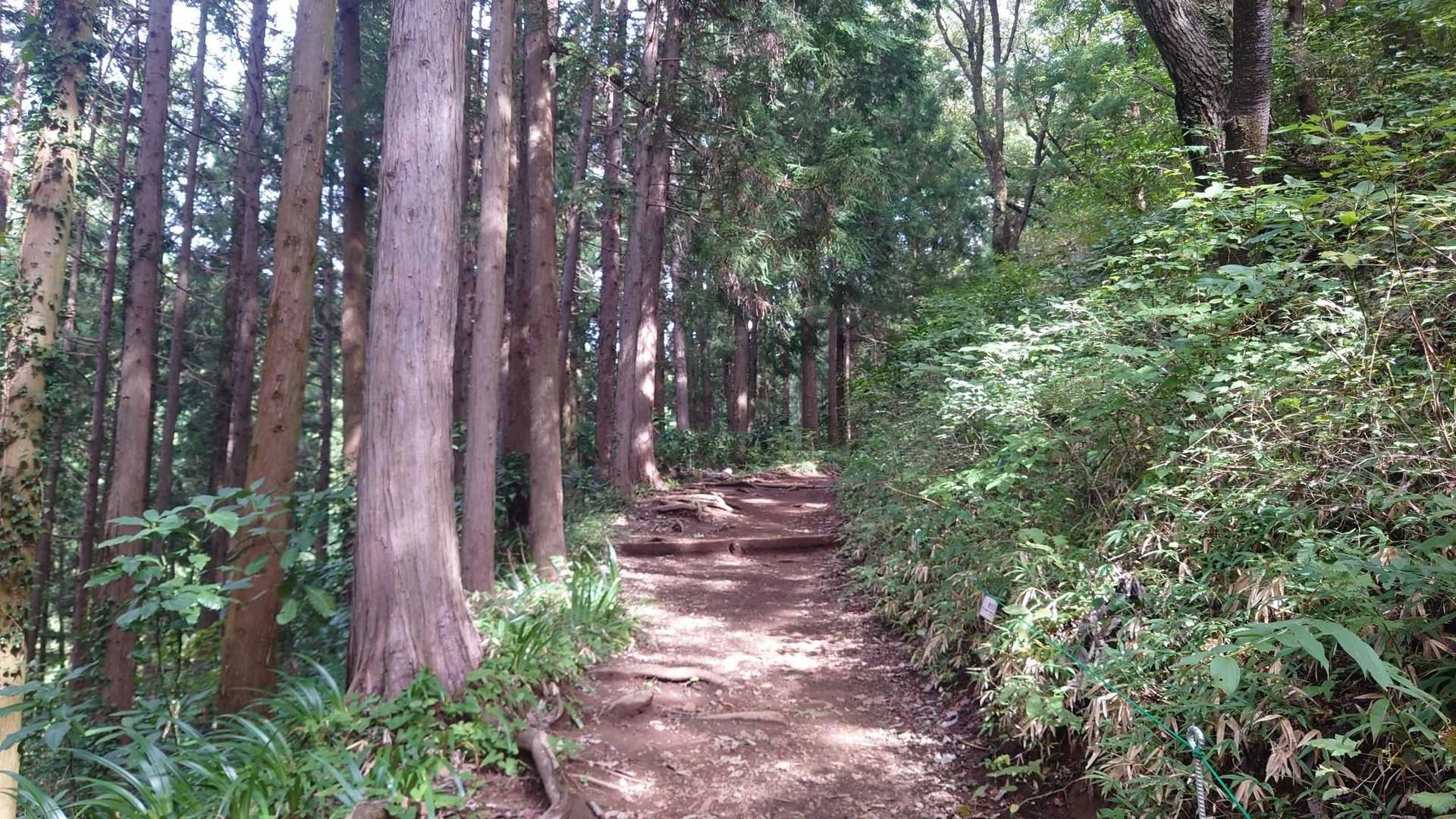 さて、気をつけて下山しよう🌲🌳🌲
