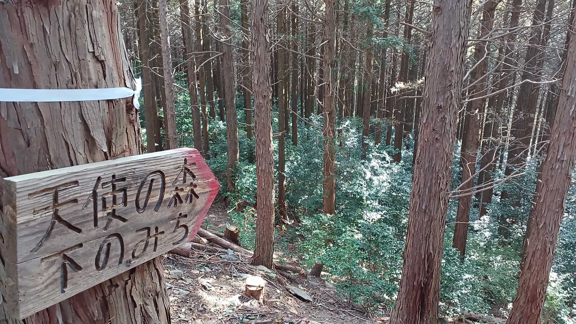 👼下のみちかぁ
今回は行けない、残念！