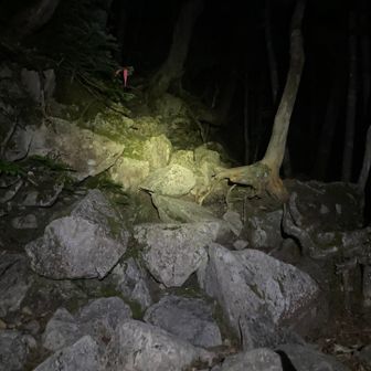 大門沢小屋を過ぎたら激登りです。
毎週男体山やんけw
