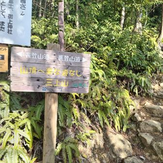 表裏ルートの別れ道