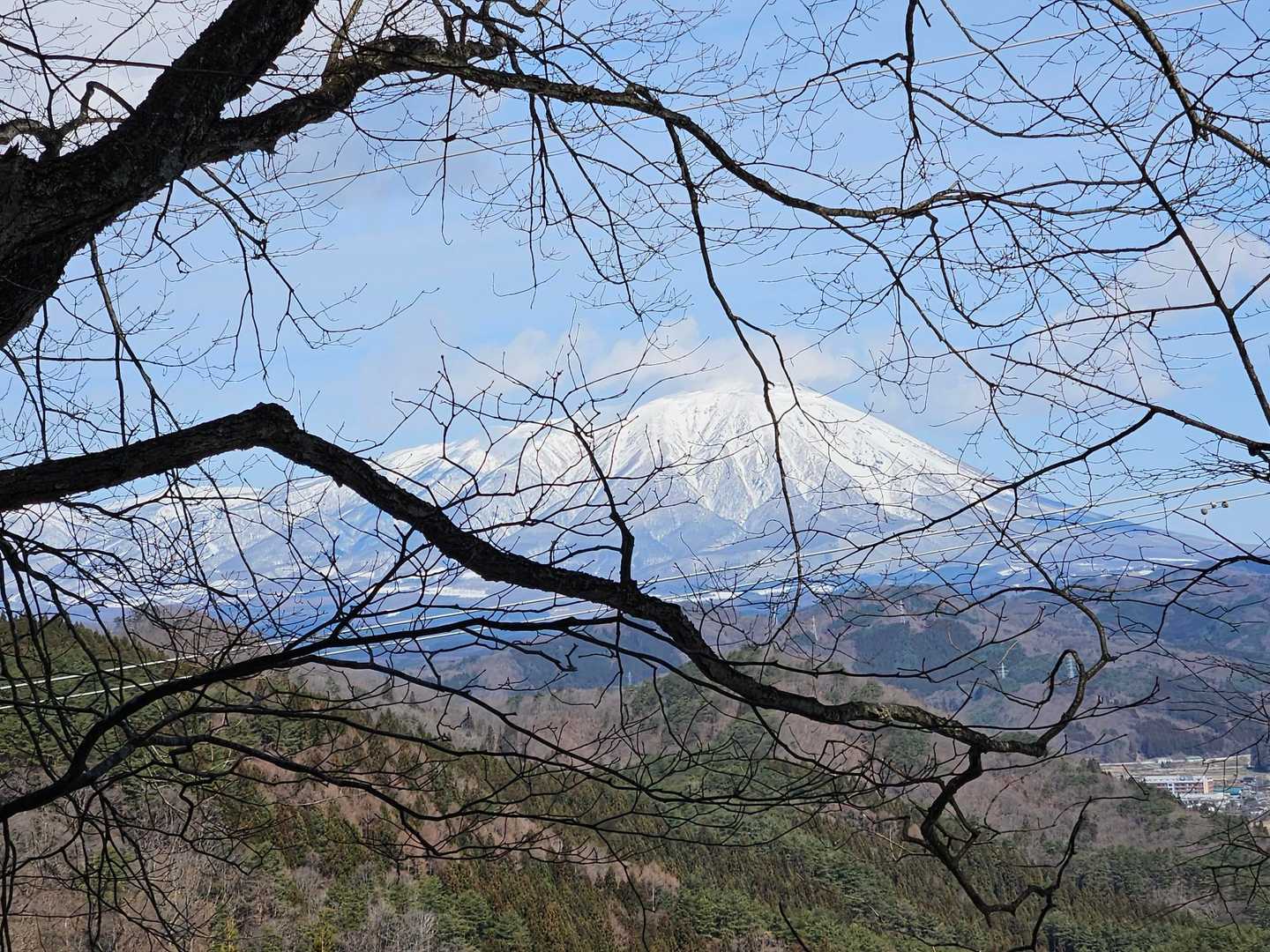 岩手山も見えました
