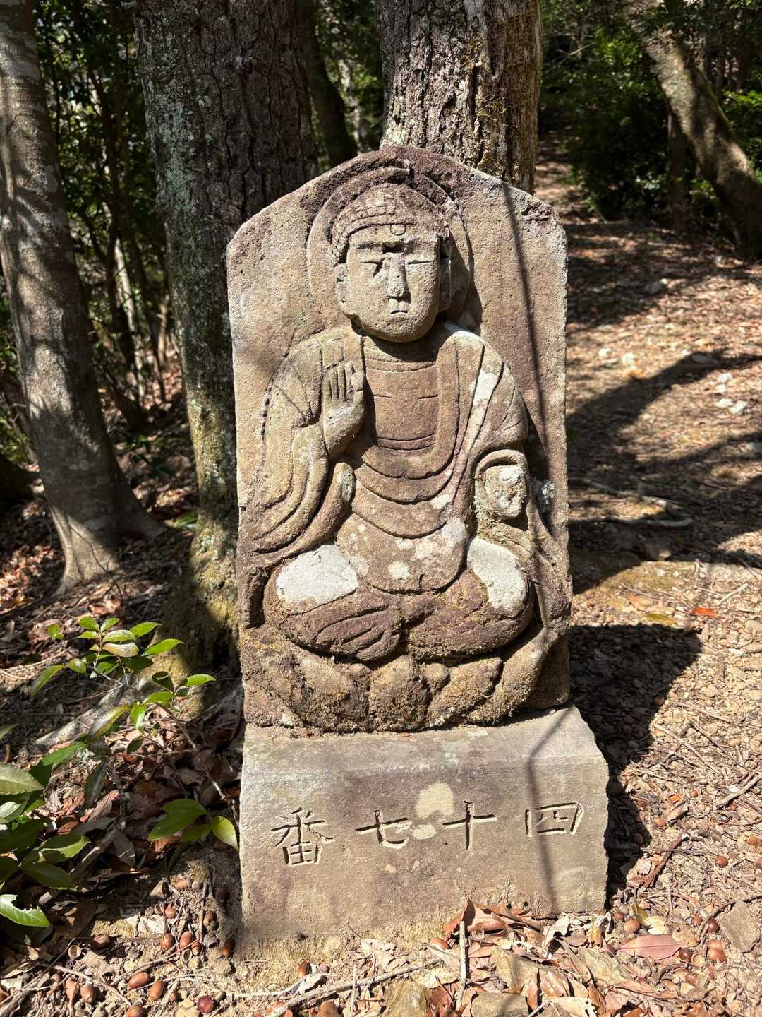 高塚山登山口-高塚山 往復コースの写真