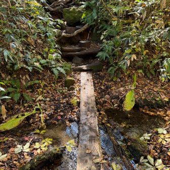 駐車場に戻る手前の小川。
最後にちょっと癒やされて、おつかれ山でした⛰️