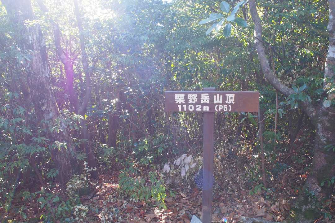 栗野岳⛰登頂できました🚩✨