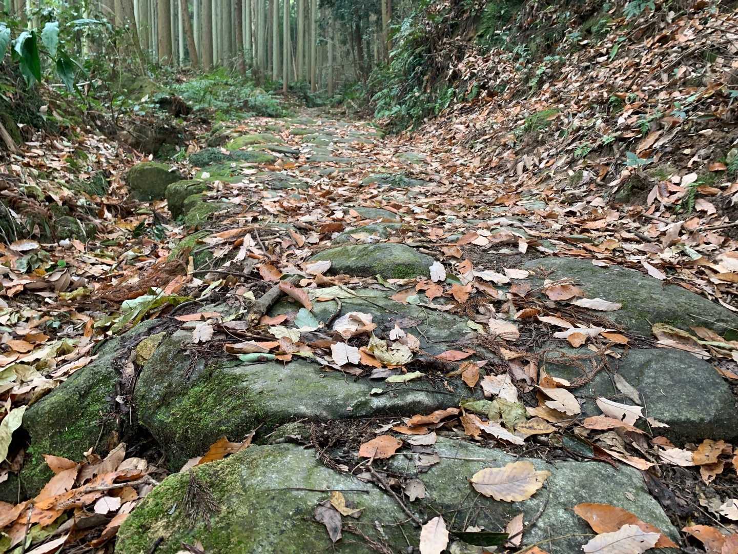 石敷きの道を歩いていきます