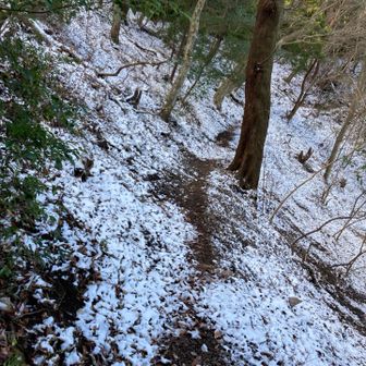 なんか下るなぁ(´・ω・｀)