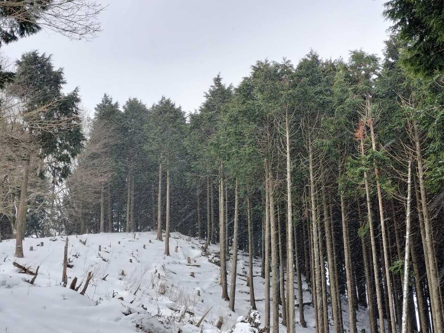 ま、前日からレポで下調べ済みなので、チェンスパしか持ってきてないけどね〜😙
拡大したら分かる、吹雪いてきたのは想定外😱