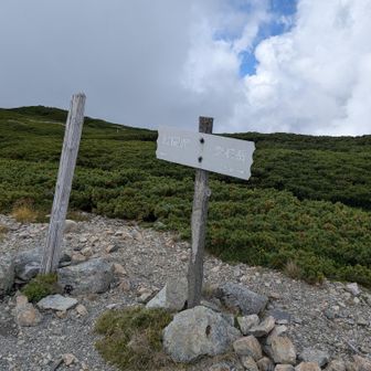 小屋まで40分本当かなあと思いながら歩く