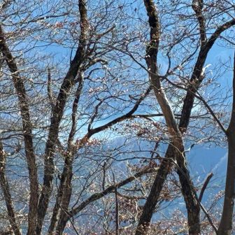 この時期だけ👀
奥多摩湖