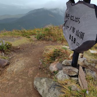 一ノ峯山頂（三等三角点）
