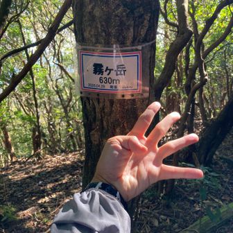 霧ケ山登頂⛰️