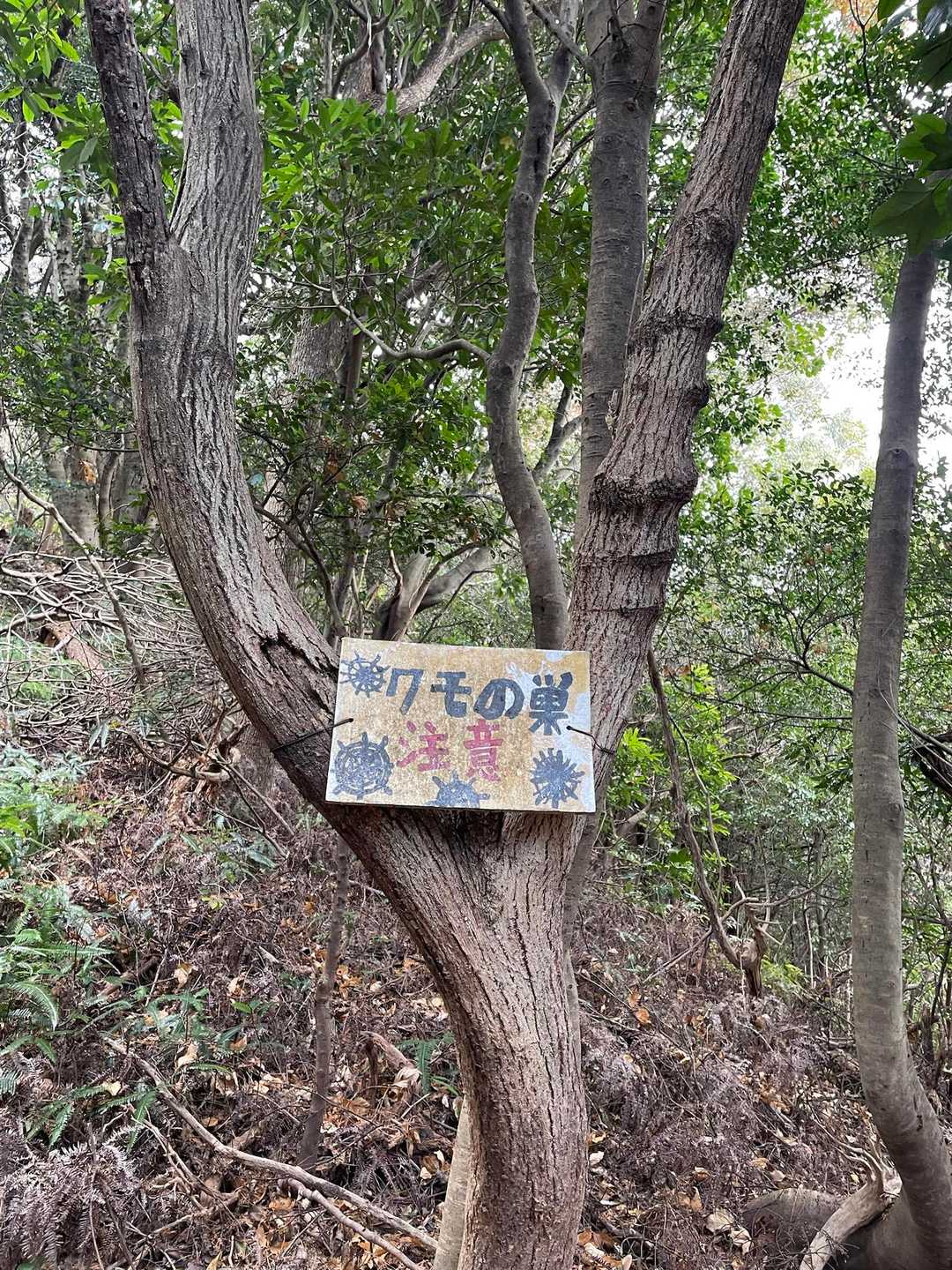 京ヶ峯 周回コースの写真