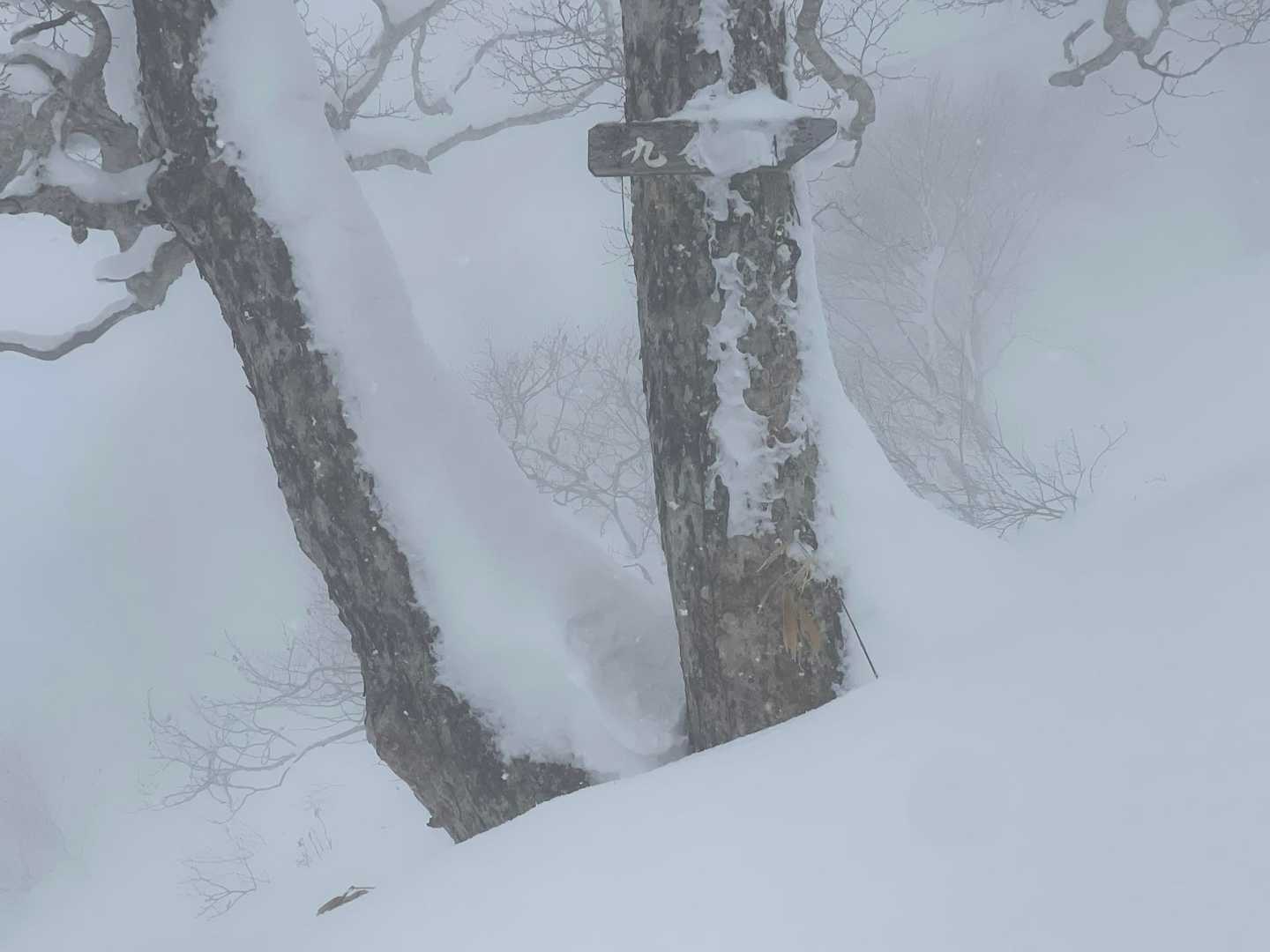 9合目👀
吹雪じゃん！