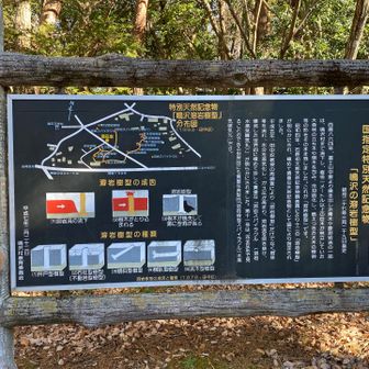 溶岩樹形見てみます