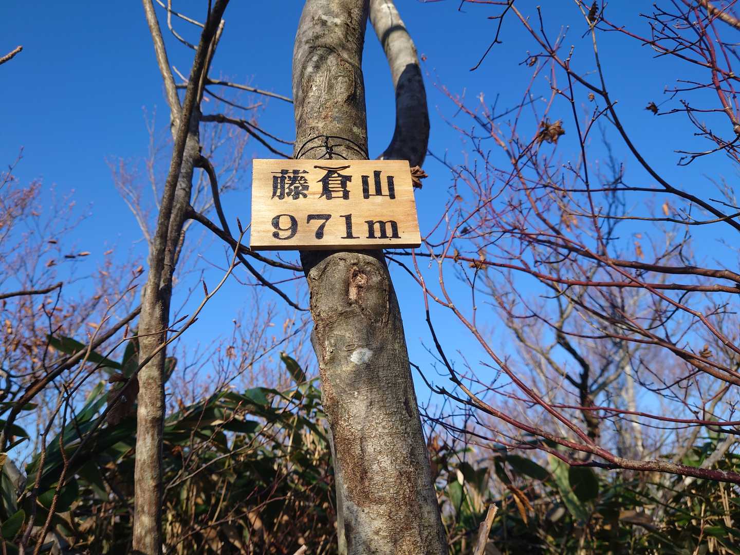 藤倉山到着