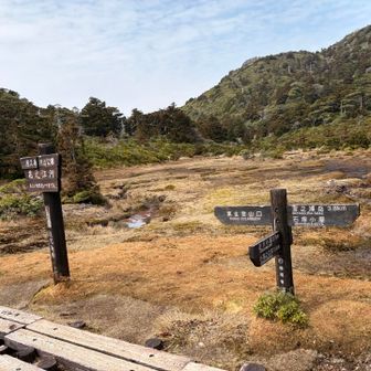 突然現れた、幻想的な高層湿原
花之江河（はなのえごう）